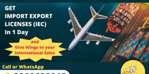 Import Export License