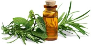 Tea Tree Essential Oil