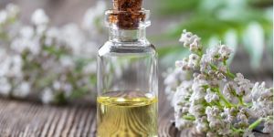 Valerian Essential Oil