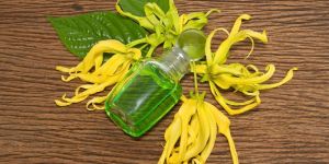 Ylang Ylang Essential Oil