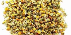 Dried Chamomile Flowers