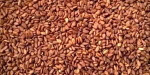 Brown Sesame Seed