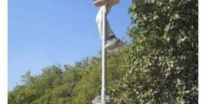 Solar Street Light Service