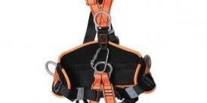 Seat Belt Harness