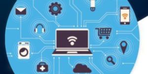 Customized IOT System Development