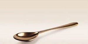 Bronze Spoon