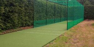 Cricket Net