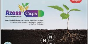 Azoss-Azospirillium- bio Fertilizer