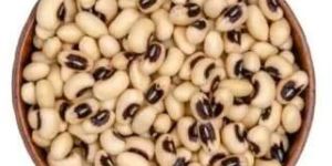 White Cowpea