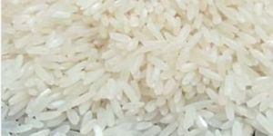 IR 64 Raw Basmati Rice