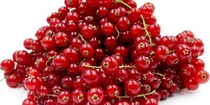 Fresh Red Currant