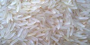 1509 Organic Basmati Rice