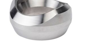 Stainless Steel Weldolet