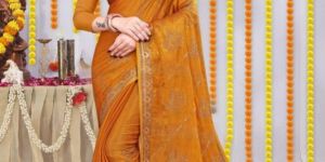 Women Sitara Chiffon Saree