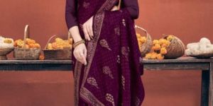 Women Sitara Chiffon Saree