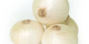Fresh White Onion