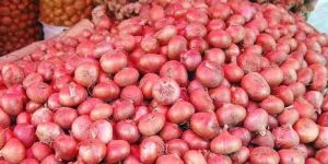 Fresh Red Onion