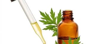 Davana Essential Oil