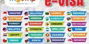 e-Visa Service