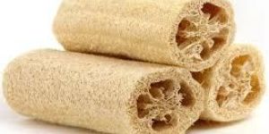 Loofah Sponge