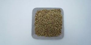 Coriander Seeds