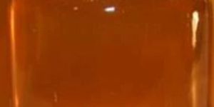 Liquid Organic Honey