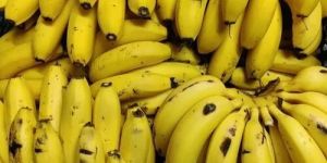 Fresh Yellow Banana