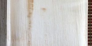 8 Inch Square Areca Palm Leaf Plate