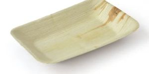 8x5 Inch Rectangular Areca Palm Leaf Plate