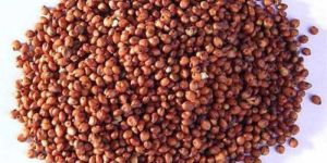 Red Sorghum Millet