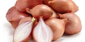 Shallots Onion