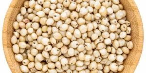 White Sorghum Millet