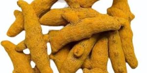Organic Turmeric Finger