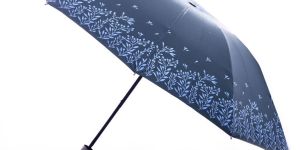 21 Inch Satin Print Two Fold Umbrella