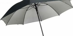 24 Inch Black Silver Two Fold Umbrella