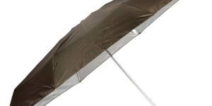 24 Inch Mono Silver Two Fold Umbrella