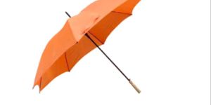 30 Inch Straight Umbrella