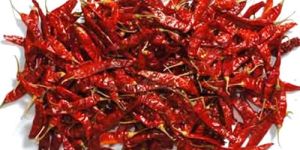 Guntur Dry Red Chilli