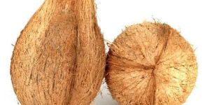 Natural Coconut
