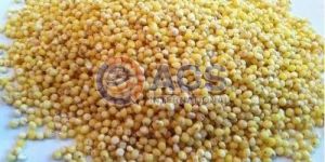 Yellow Amaranth Millet