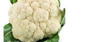 Organic Fresh Cauliflower