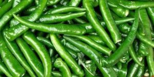 Spicy Natural Green Chilli