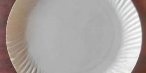 12 Inch Duplex White Wrinkle Paper Plate