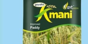 10kg Amani Improved Paddy Seeds