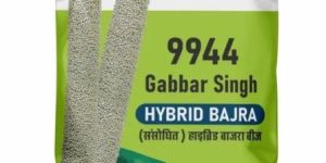 9944 Gabbar Singh Hybrid Bajra Seeds