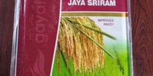 Jaya Sriram Improved Paddy Seeds
