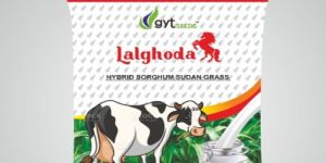Lalghoda Hybrid Sorghum Sudan Grass Seeds