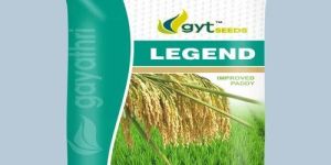 Legend Improved Paddy Seeds