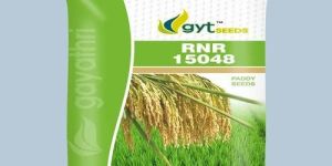 RNR15048 Paddy Seeds