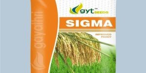 Sigma Improved Paddy Seeds